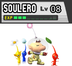 Lvl 8 - 30